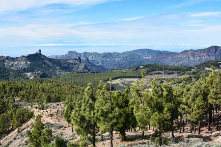 roque nublo mountain symbol of the island gran canariaの写真素材