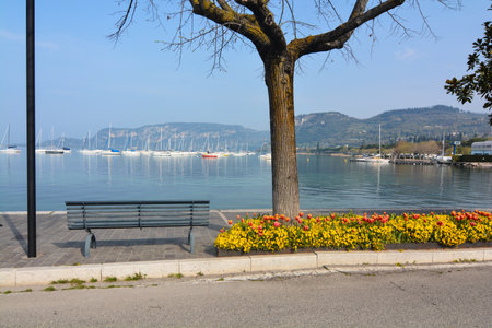 flowering flower beds on Lake Gardaの写真素材