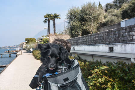 carrying dog on shoulder with backpack on the new Brenzone cycle path on Lake Gardaの写真素材