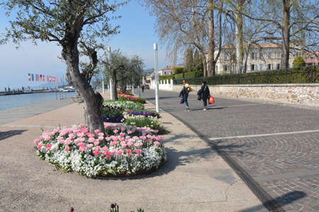 flowerbed along the lakefront of bardolino lake gardaの写真素材