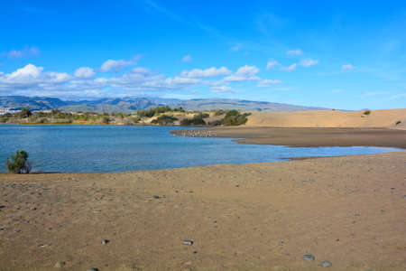 maspalomas beach gran canaria islandの写真素材