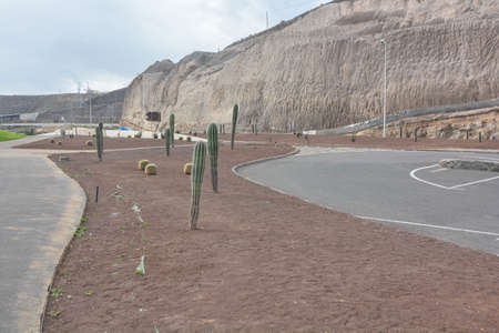 costa island gran canaria near the capital las palmasの写真素材