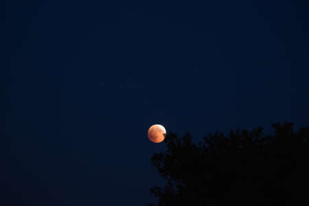 lunar eclipseの写真素材