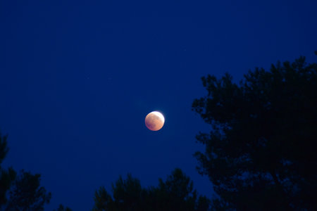 lunar eclipse astronomy phenomenon