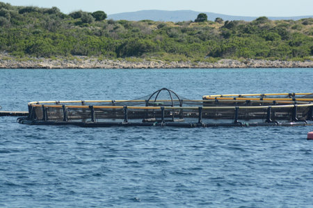 mussel farming on the Kornati islandsの写真素材