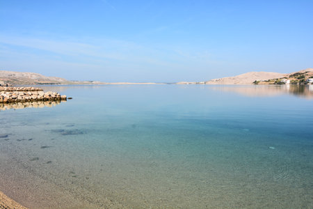 herds seaside resort island of pagの写真素材