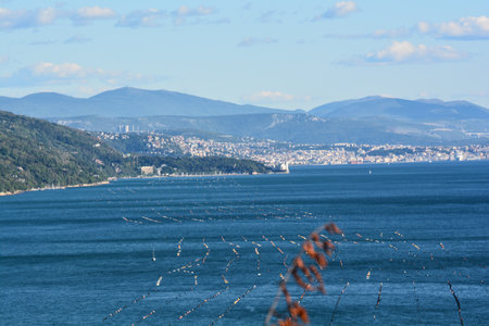 gulf of triesteの写真素材