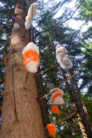ornaments and objects in the wood of the celtsの写真素材
