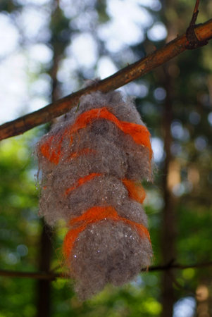 ornaments and objects in the wood of the celtsの写真素材