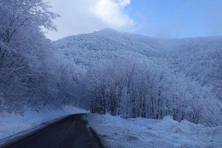 Modenese Apennines whitened by snowfallの写真素材