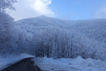 Modenese Apennines whitened by snowfallの写真素材
