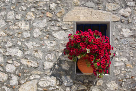 Vase of red flowers on the windowsill of a house in Greece, horizontalの写真素材
