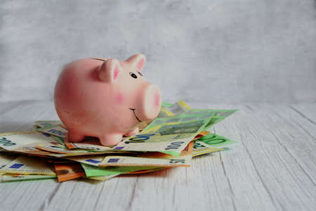piggy bank on a stack of banknotes, horizontal,の写真素材
