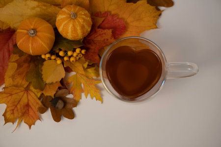 Heart shaped glass cup filled with tea on white background, top view, foliage, acorns and two small...