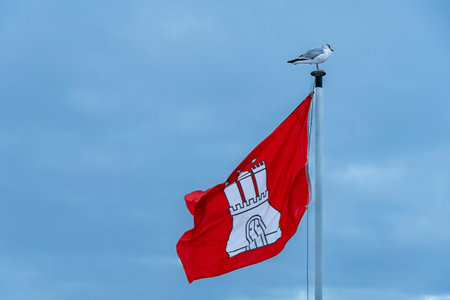 A seagull sits on the mast of a Hamburg flag blowing in the wind, blue slightly cloudy background, horizontalの写真素材