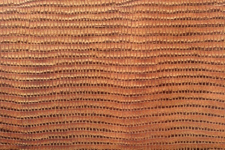 Reptile leather texture background