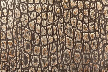 Reptile leather background