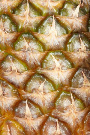 Pineapple texture backgroundの写真素材