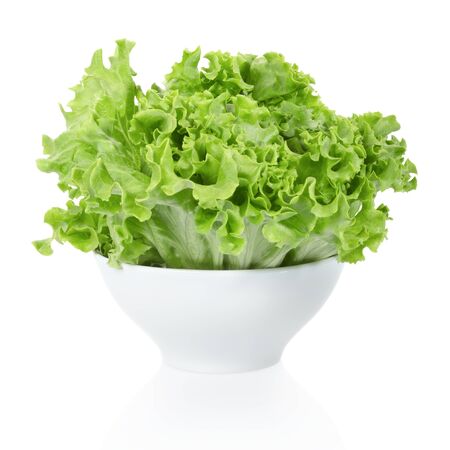 Salad bowl on whiteの写真素材