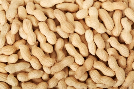 Peanuts in shell texture