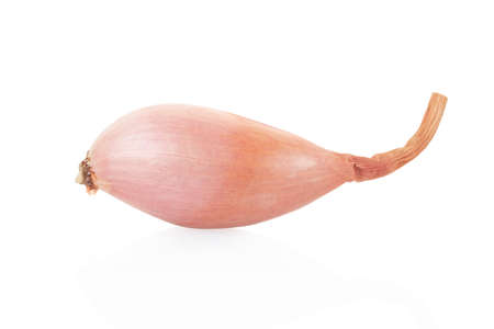 Shallot onion single on white, clipping pathの写真素材