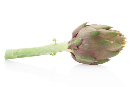 Artichoke on white, clipping pathの写真素材