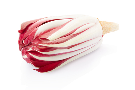 Radicchio, red Treviso chicory on white, clipping pathの写真素材