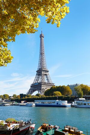 Eiffel tower and Seine river view with yellow autumn tree branches in a sunny day in Parisのeditorial素材