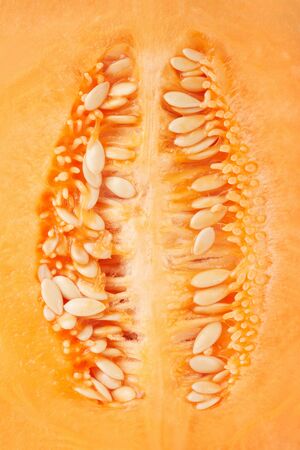 Cantaloupe melon seeds macro texture backgroundの写真素材