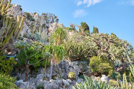 MONTE CARLO, MONACO - AUGUST 20, 2016: The exotic garden path cliff with rare succulent plants in a sunny summer day in Monte Carlo, Monaco.のeditorial素材