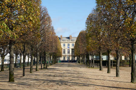 PARIS - NOVEMBER 7, 2019: Tuileries garden with lines of trees in a sunny autumn in Paris, perspectiveのeditorial素材