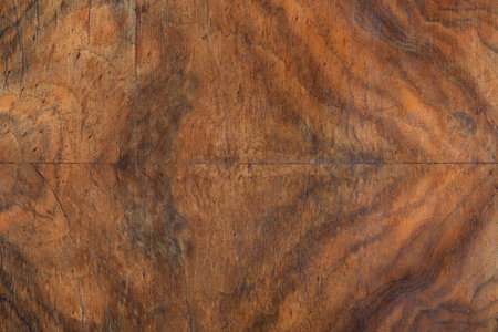 Briar wood texture backgroundの写真素材