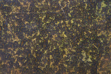 Old paper with green and brown faded abstract design texture backgroundの写真素材
