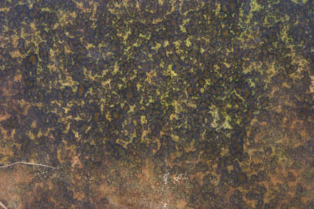 Old paper with green and brown faded abstract design texture backgroundの写真素材