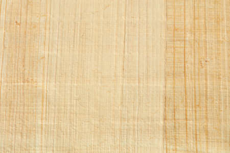 Papyrus paper texture backgroundの写真素材