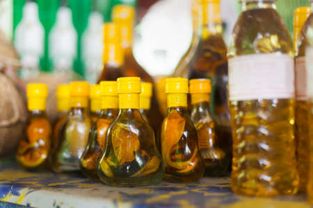 Honey bottle and liquor with snake traditional tropical drink in Vietnam Mekong Delta Villageの写真素材