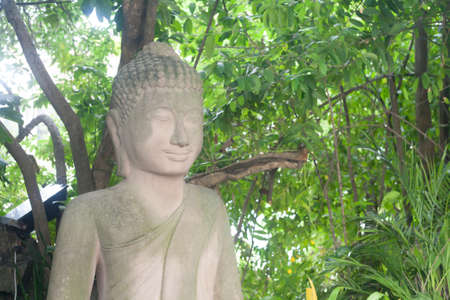 Meditative Ancient Buddha Statue Portrait close up in Cambodian Temple Green Plants with big leavesの写真素材