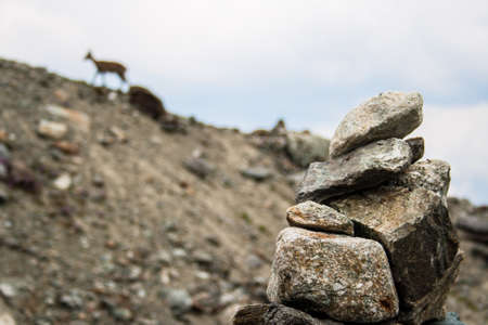 Stone man with a Chamois in the backgroundの写真素材