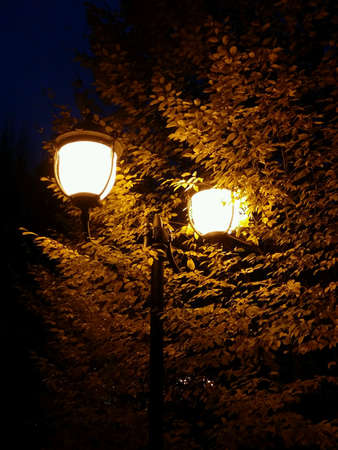 Lights in the darkの素材