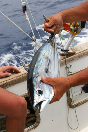 Man fishing tuna from boat at sea