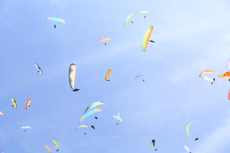 many paragliders in the skyの写真素材