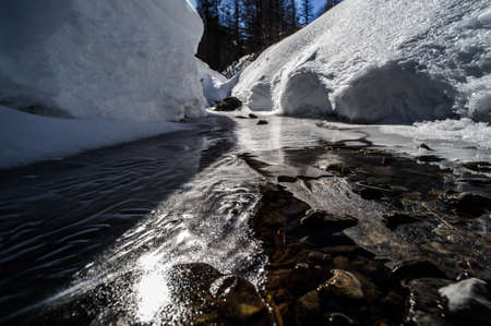 frozen river in Stelvio nature parkの写真素材