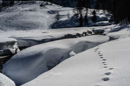 footprints in the snow in the parkの写真素材