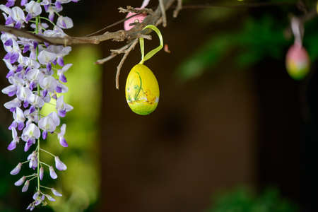 Easter egg with wisteria flowersの写真素材