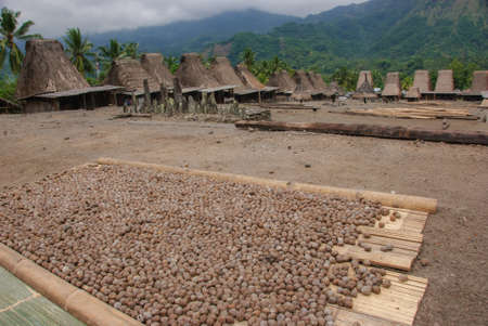 traditional village Bena on Flores Island Indonesiaの写真素材