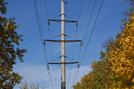 Power Line Clearingの写真素材