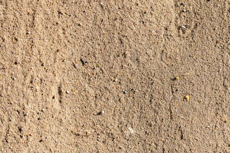 Abstract background. Fragment of a sandy road. Space for lettering and design