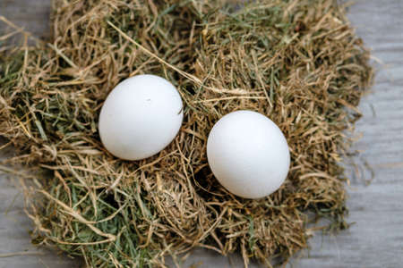 Two chicken eggs on fresh hay on a blurry background. Selective focus.