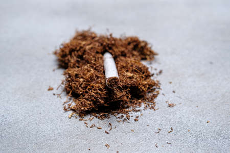 Rolled cigarette and tobacco on a light gray background. Selective focus.