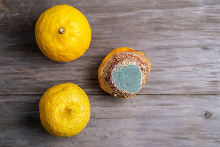 One rotten and two fresh lemons on a blurry wooden background. Selective focus. Space for lettering...